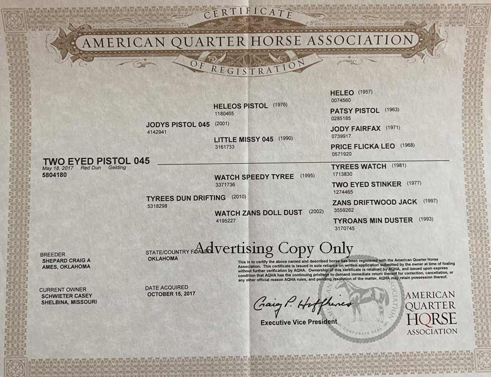 Tyree: 2017 AQHA Dun Gelding- Registration Papers