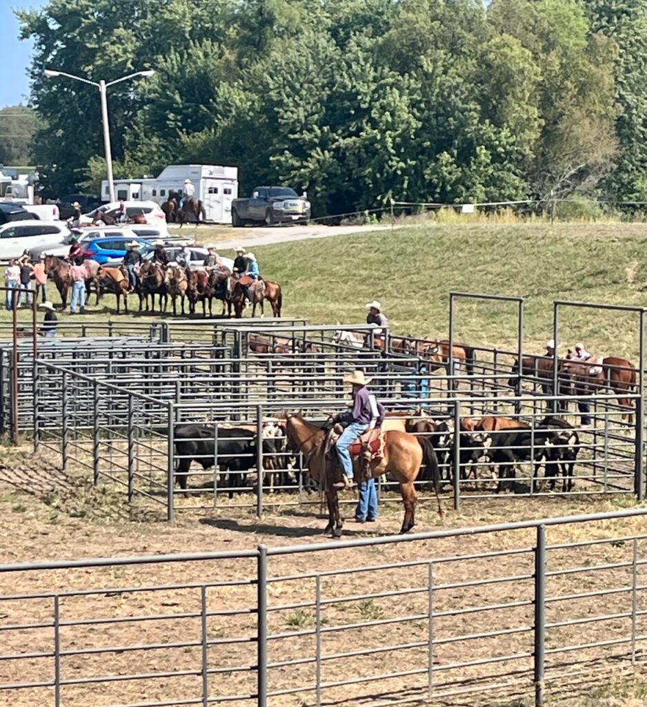 Missouri High School Rodeo 20232024 Season Saline County Fairgrounds