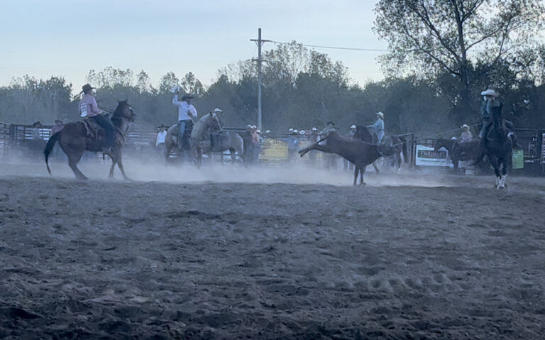 Ranch Rodeo vs. Rodeo: A Basic Guide To Rodeos- How Cowboy Are You ...