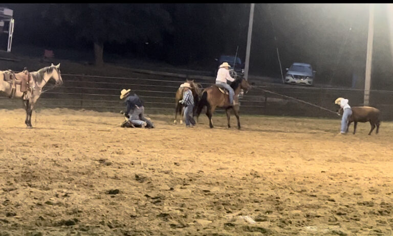 Ranch Rodeo vs. Rodeo: A Basic Guide To Rodeos- How Cowboy Are You ...